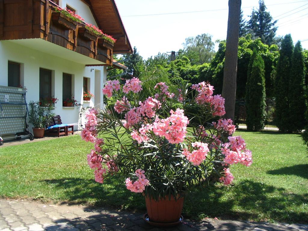 Sommer Panzio Balatonföldvár Extérieur photo