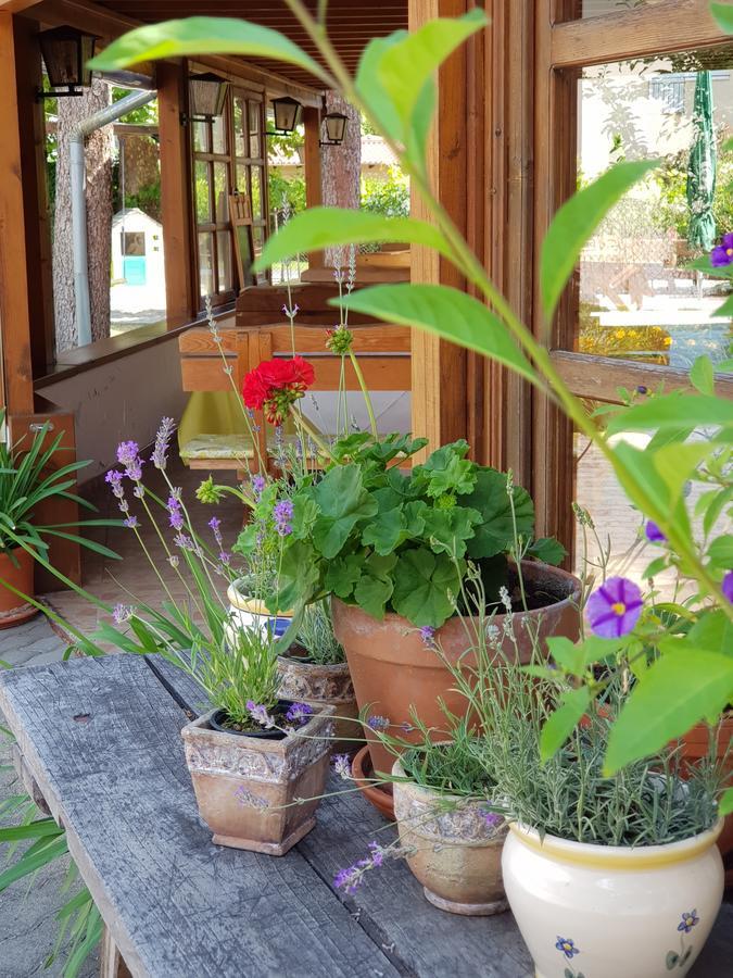 Sommer Panzio Balatonföldvár Extérieur photo